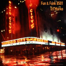 Fun & Funk 8501